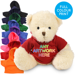 Promotional James III Bear in Printed Coloured Hoody - Branded Soft Toys - Medium Teddy Bear