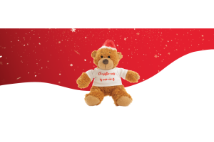 Regal Toys - Seasonal Christmas Anne Bear - Trade Only Supplier